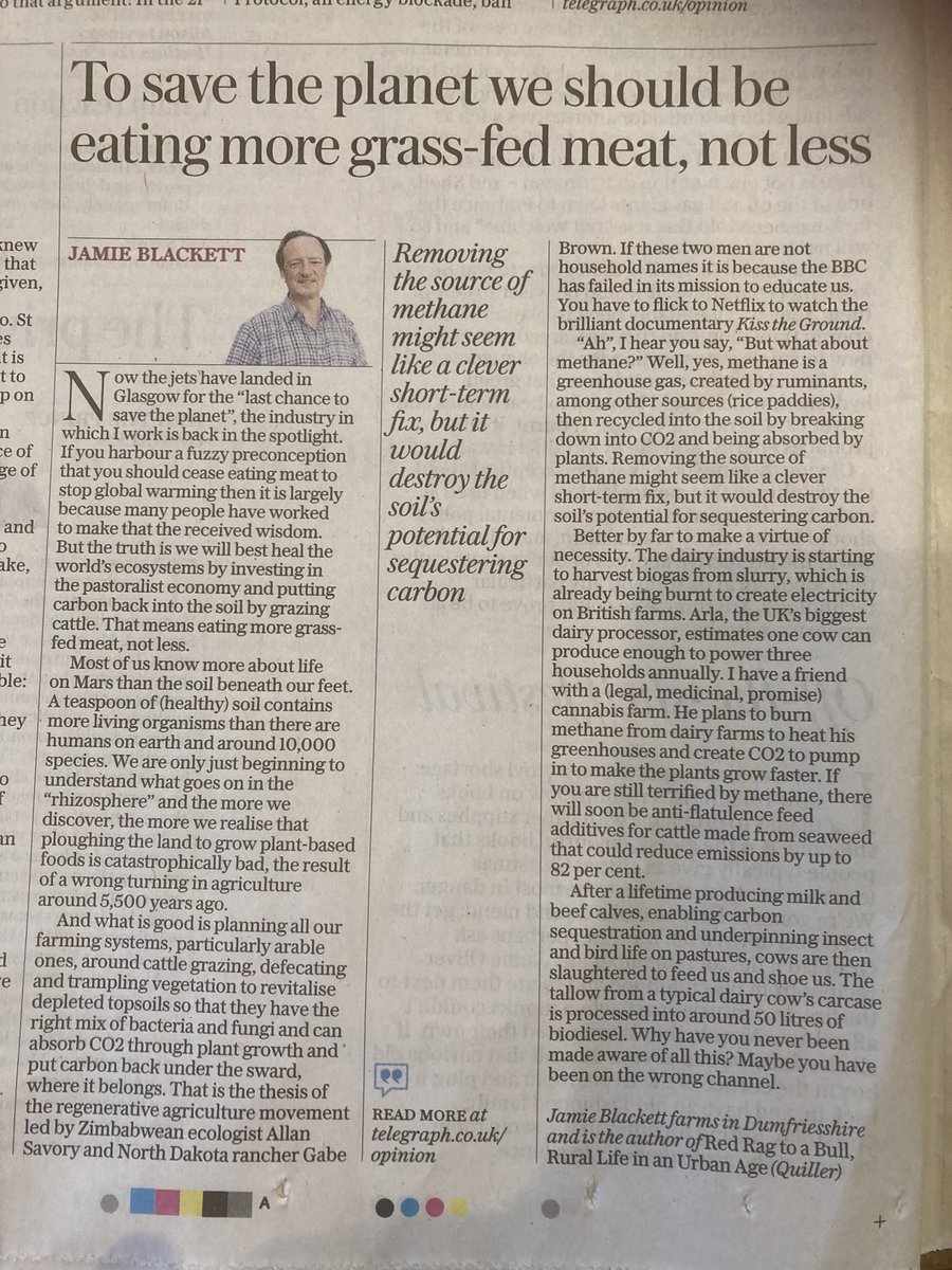 romshedfarm's tweet image. So good to see ⁦@Jamie_Blackett⁩ distinguishing grass-fed beef from the rest ⁦@PastureForLife⁩