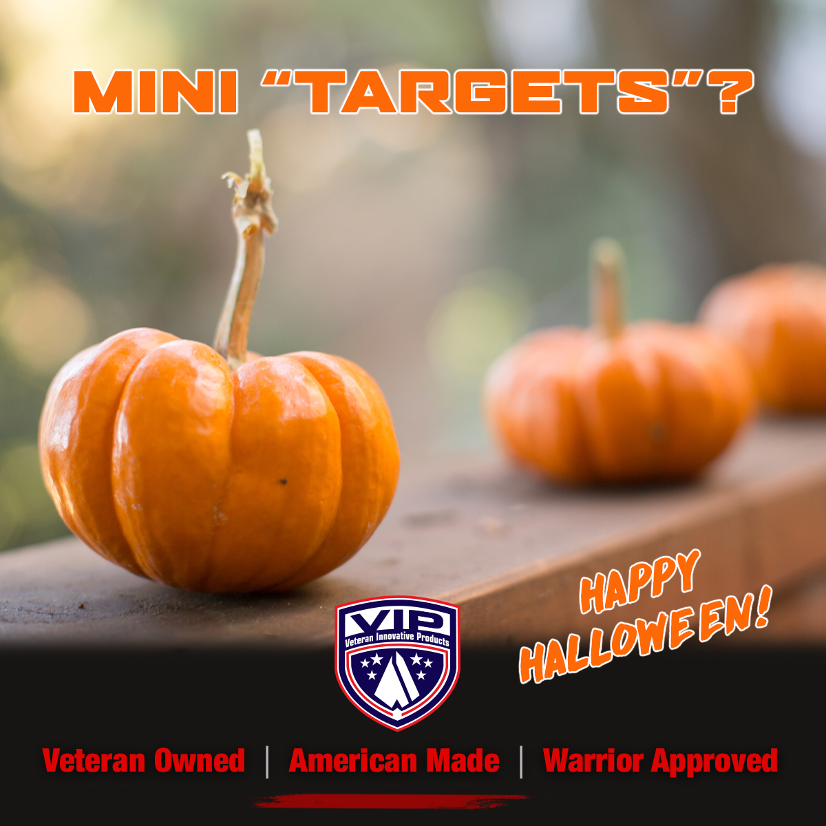 VeteranIP's tweet photo. Who needs a knife to carve pumpkins when you have VIP broadheads? 😉 Happy Halloween! 

https://t.co/SICQotaSh7 https://t.co/T0HenUm4HM