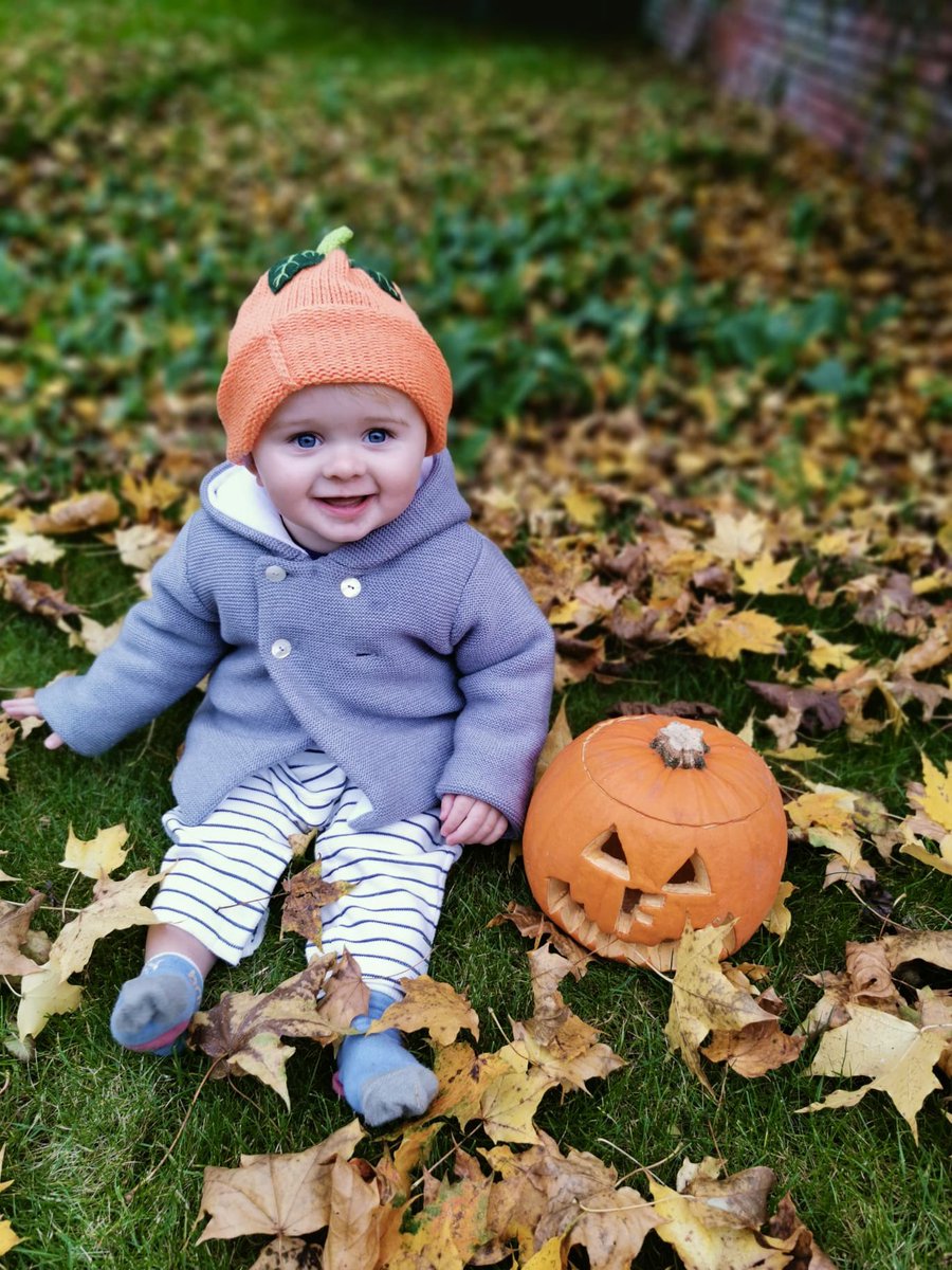 _Ludgrove's tweet photo. Look what we found in the pumpkin patch @_Ludgrove! Wishing Fergus and the School community a spooky (but not scary) Halloween and we look forward to seeing the boys back from half term tomorrow. 👻 🎃 #pumpkin #halloween #spooky #lookingforwardtoseeingyou #prepschoollife https://t.co/OuAV5jp08v