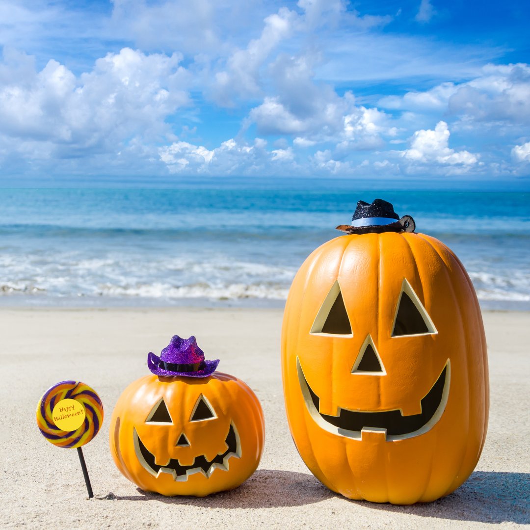 ShoreSiteDesign's tweet photo. Happy Halloween from your favorite web team 🎃  🕸️ https://t.co/3YpvLBtddp