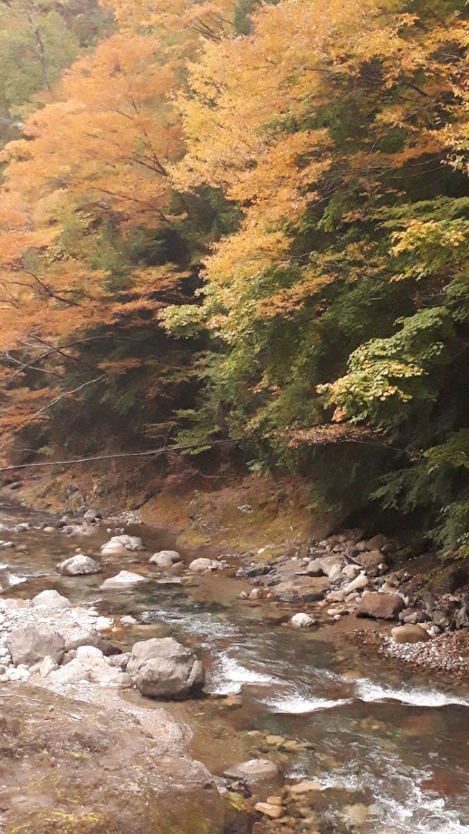 Ozo3Ozz's tweet photo. https://t.co/9d6i3JTe9M