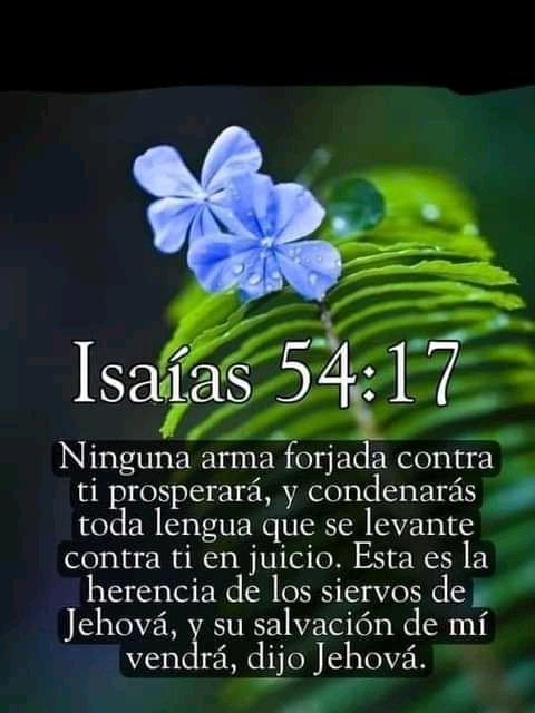 Gloria Álvarez (@glorial56398684) on Twitter photo 