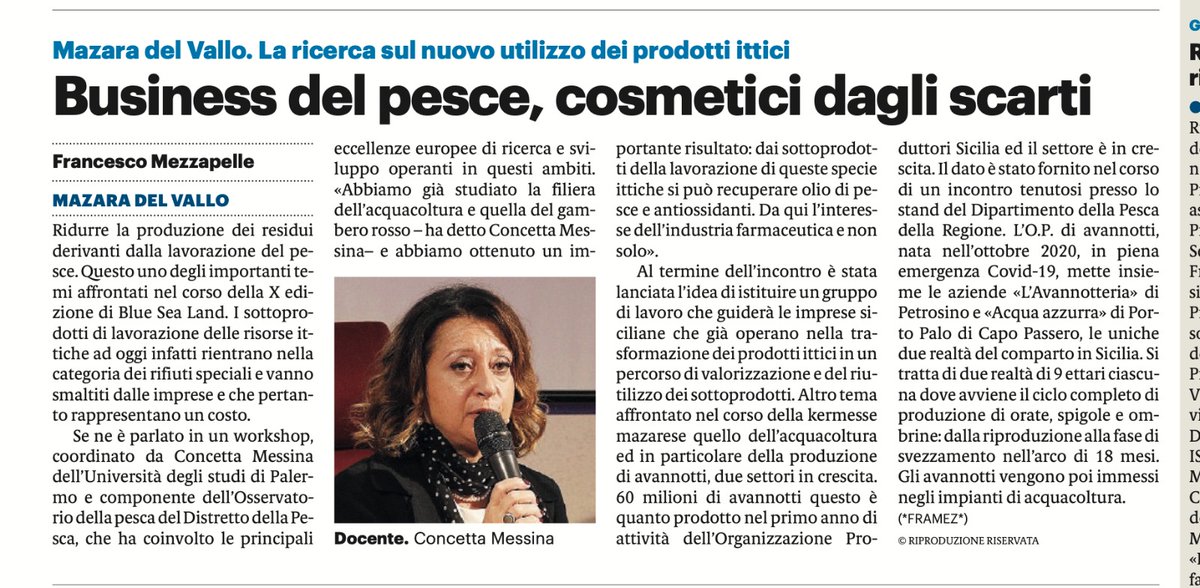 Blue Sea Land tweet media