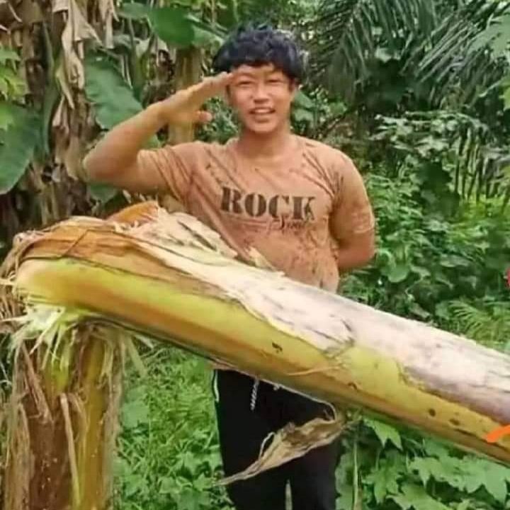fazilananda4's tweet photo. #FotoProfilBaru https://t.co/T3NvhDTXqw