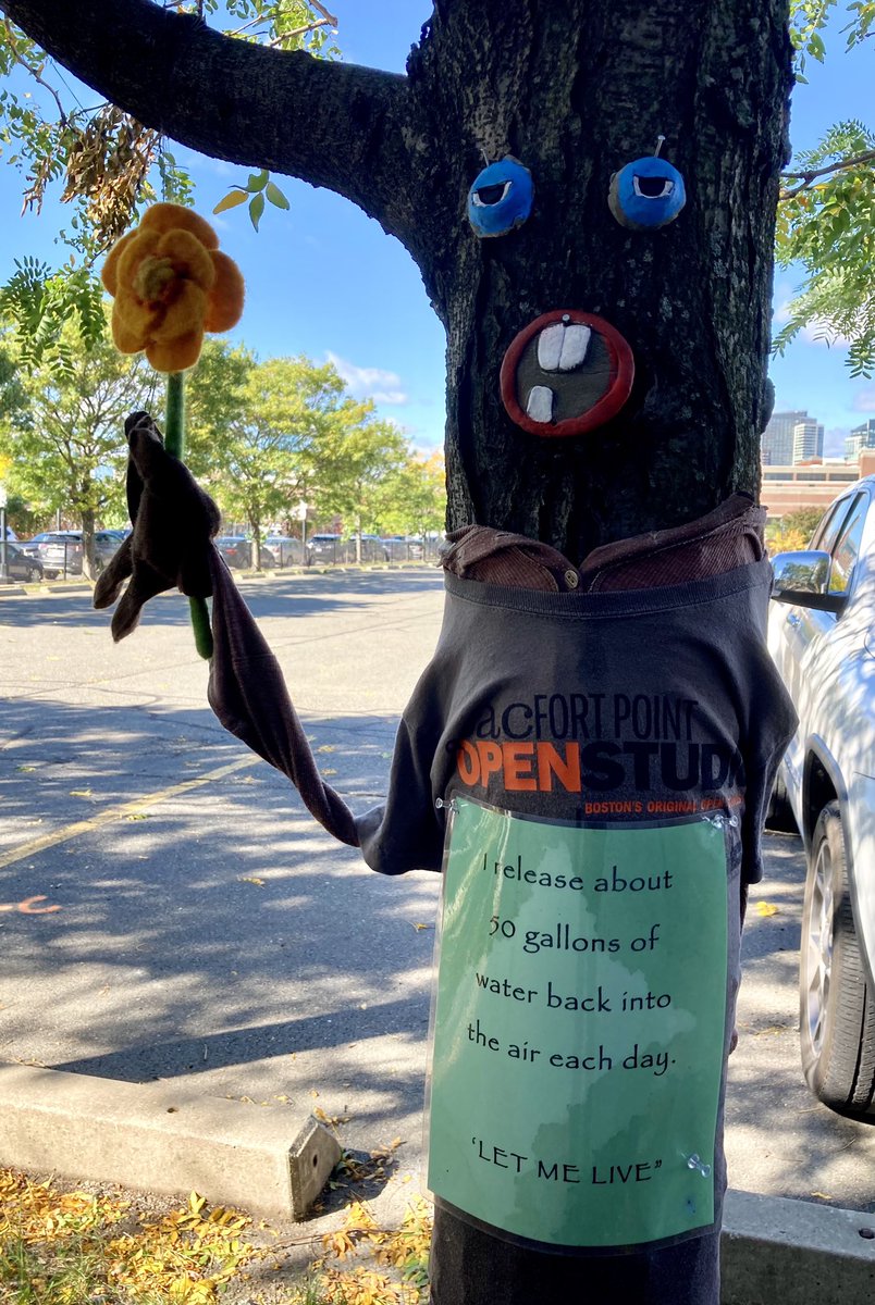 FPNA_Boston's tweet photo. Happy #halloween2021 from the trees along 244-284 A St #FortPoint.  PSA: #LetMeLive I am good at fighting #ClimateChange &amp; reducing #heatIslands. https://t.co/WmVDa749l2