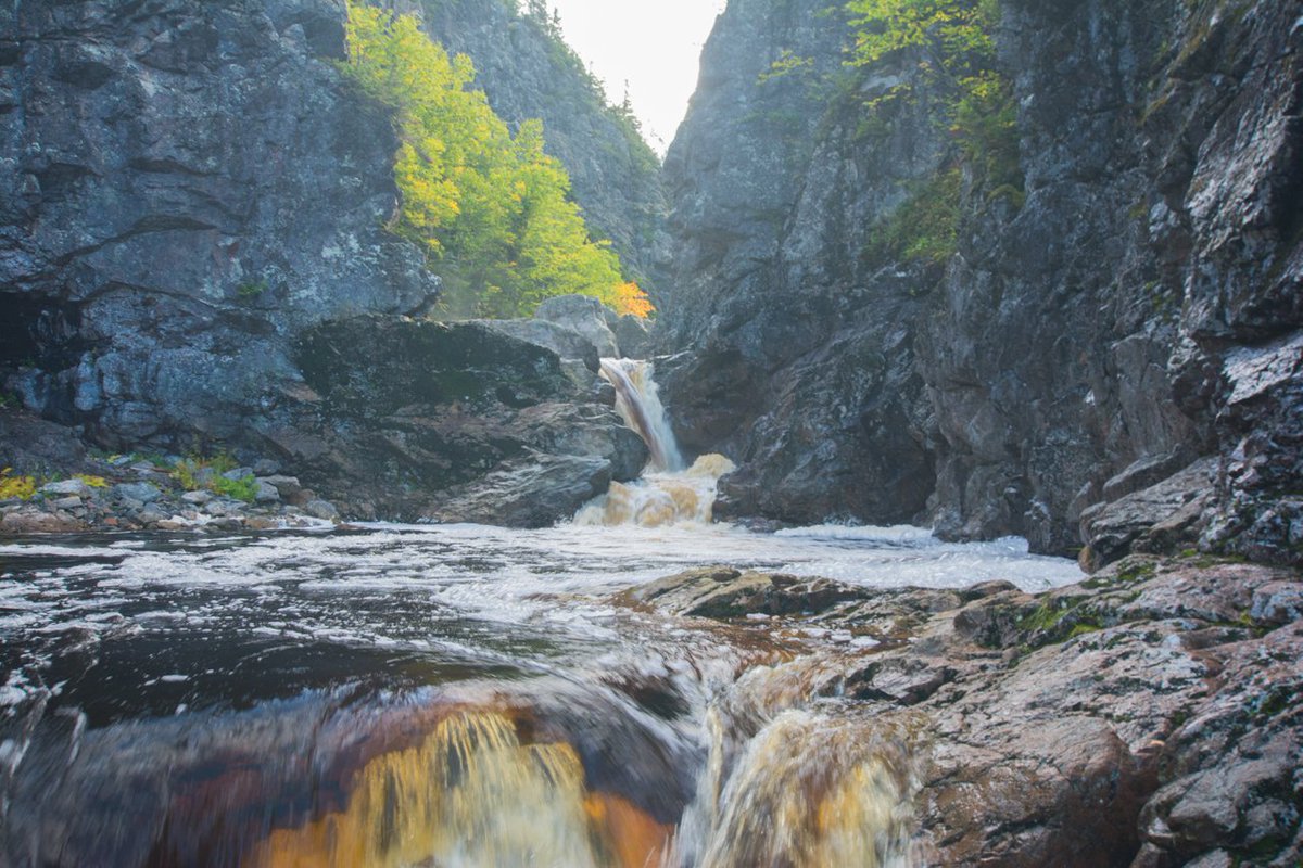 Benoit Lalonde tweet media