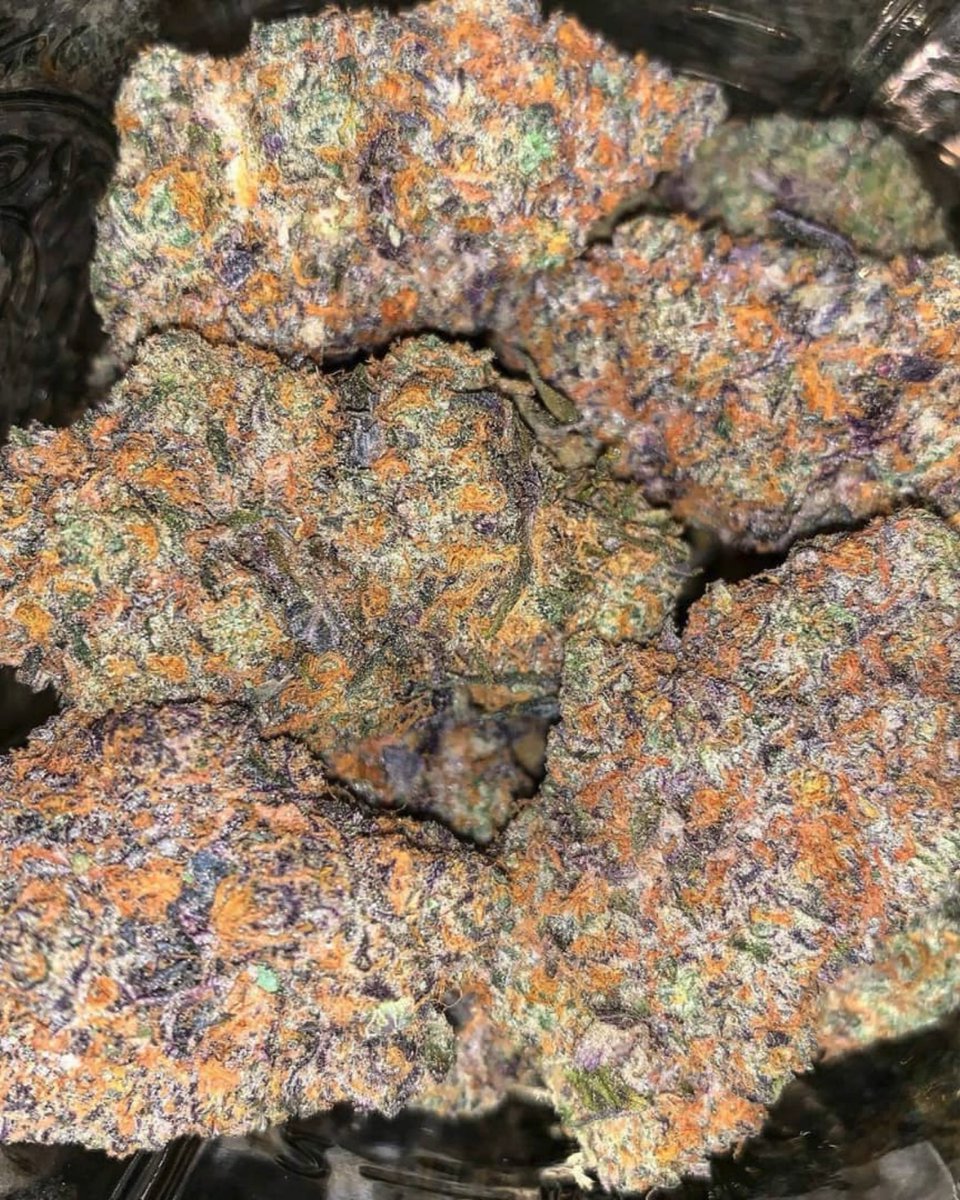 TheOPlugTapIn1's tweet photo. DM ME ‼️
   $40/80/160/260
Best Exotic For The Low Tap In🔌 #orlandoexotics #orlandoweed #altamonteweed #ucfweed #oviedoweed #winterparkweed #idriveweed #kissimmeeweed #sanfordweed #davenportweed #universalweed #apopkaweed https://t.co/BmhWAmgqA8