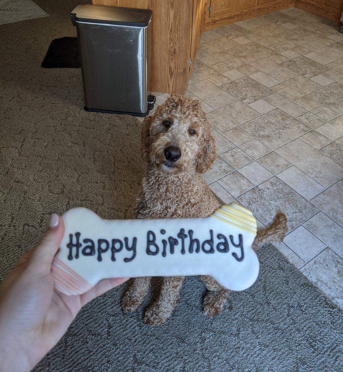 MadisonElise_13's tweet photo. Happy f i r s t  birthday to my pride and and joy.🤍 https://t.co/C9MYi2DDQW