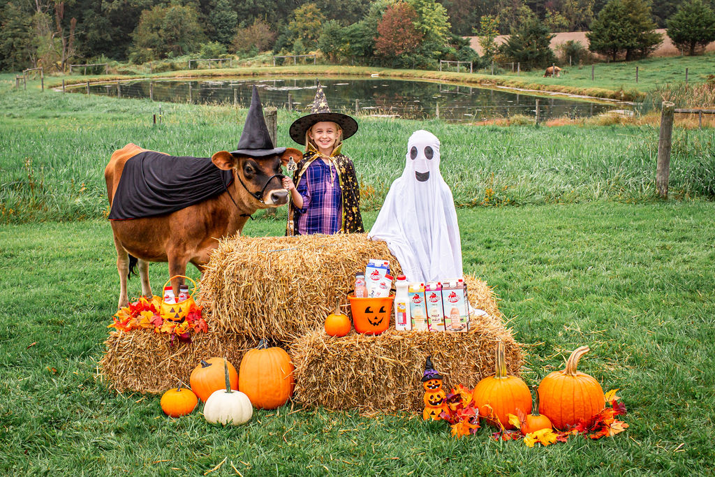 MaolaMilk's tweet photo. Now that's some scary dairy! Maola is wishing you the most fang-tastic, spook-tacular Halloween ever. What are you dressing up as this Halloween?
#HappyHalloween #Maolamilk #local #dmvlocal #NClocal #dairy #supportlocal https://t.co/FaiQBWG8GD