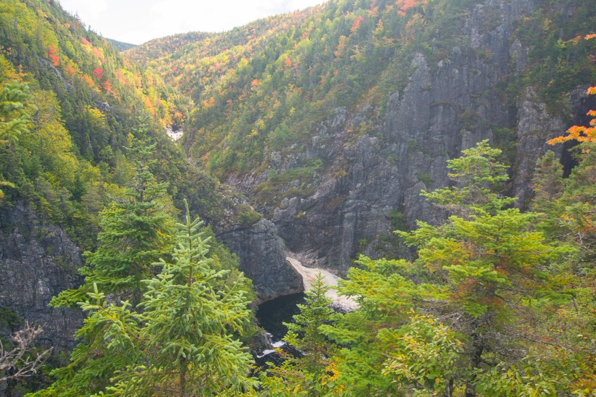 Benoit Lalonde tweet media