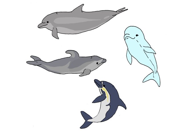 スナメリのtwitterイラスト検索結果 古い順