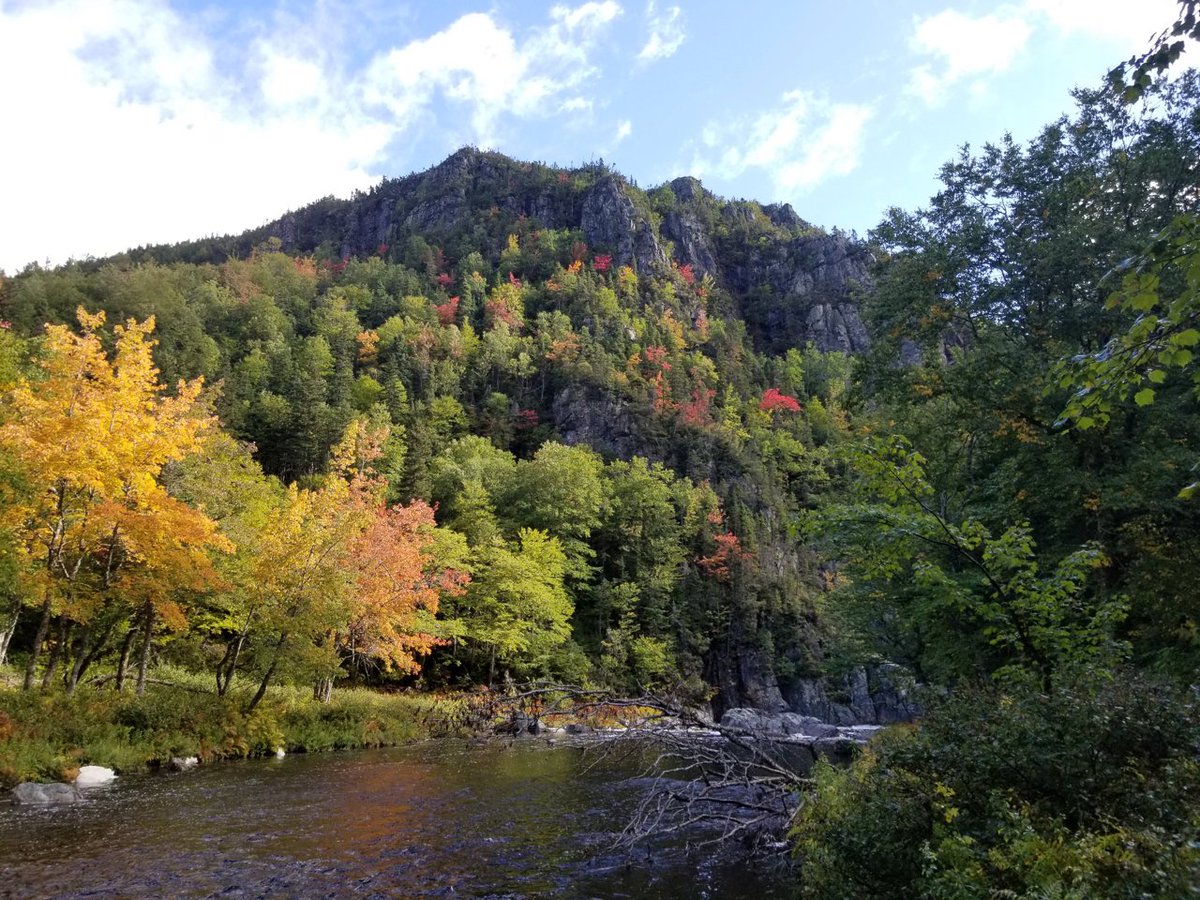 Benoit Lalonde tweet media