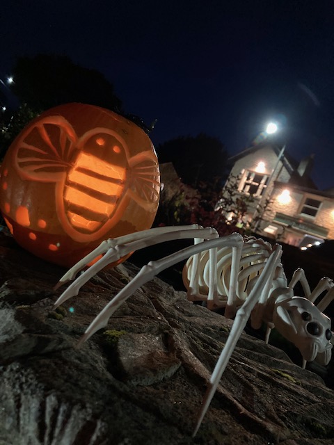 BeesGrenoGreen's tweet photo. #Bee carved #pumpkin on #Grenoside Green #sheffield #Sheffieldissuper  🎃🐝 https://t.co/ZHfqKIOb2e
