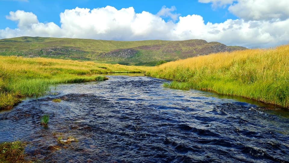 Would you like to work here? 

We're currently looking for a Senior Biologist to join our team at the Spey Fishery Board.

If you know anyone suitable please share or find out more here: speyfisheryboard.com/job-vacancy-se…

#biologistvacancy #environmentaljobs