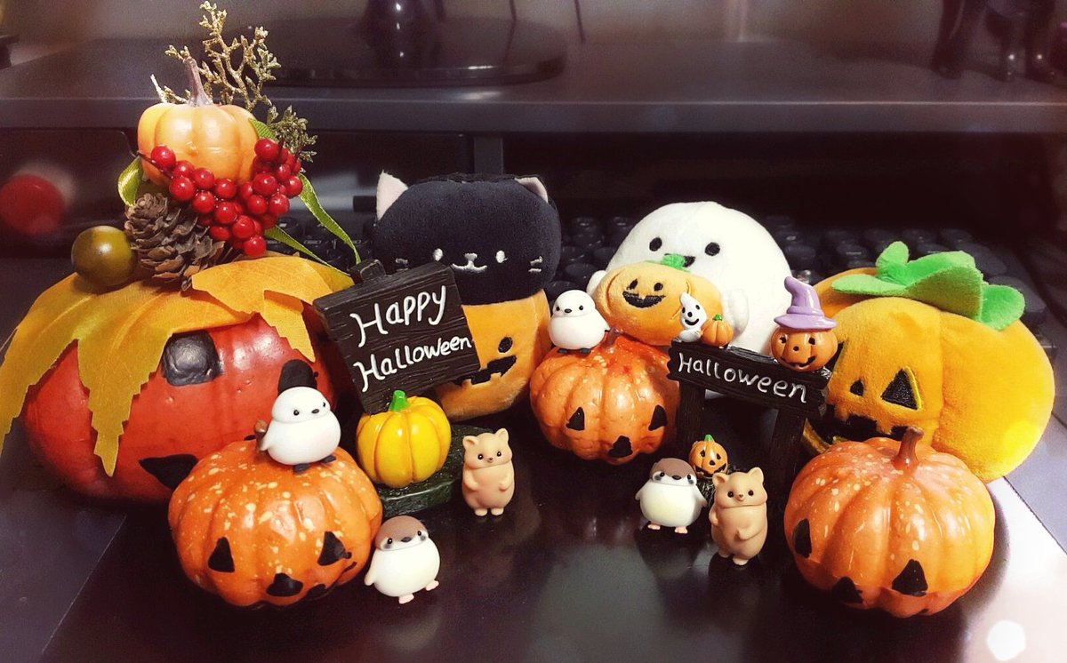 할로윈~ 설정 바꾸고 다시 올리기🎃
#에이치네스트
#H_nest