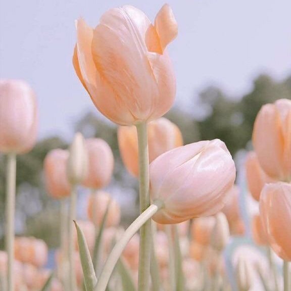 จอลอ⁴⁴ ♡ D – 5 tweet media