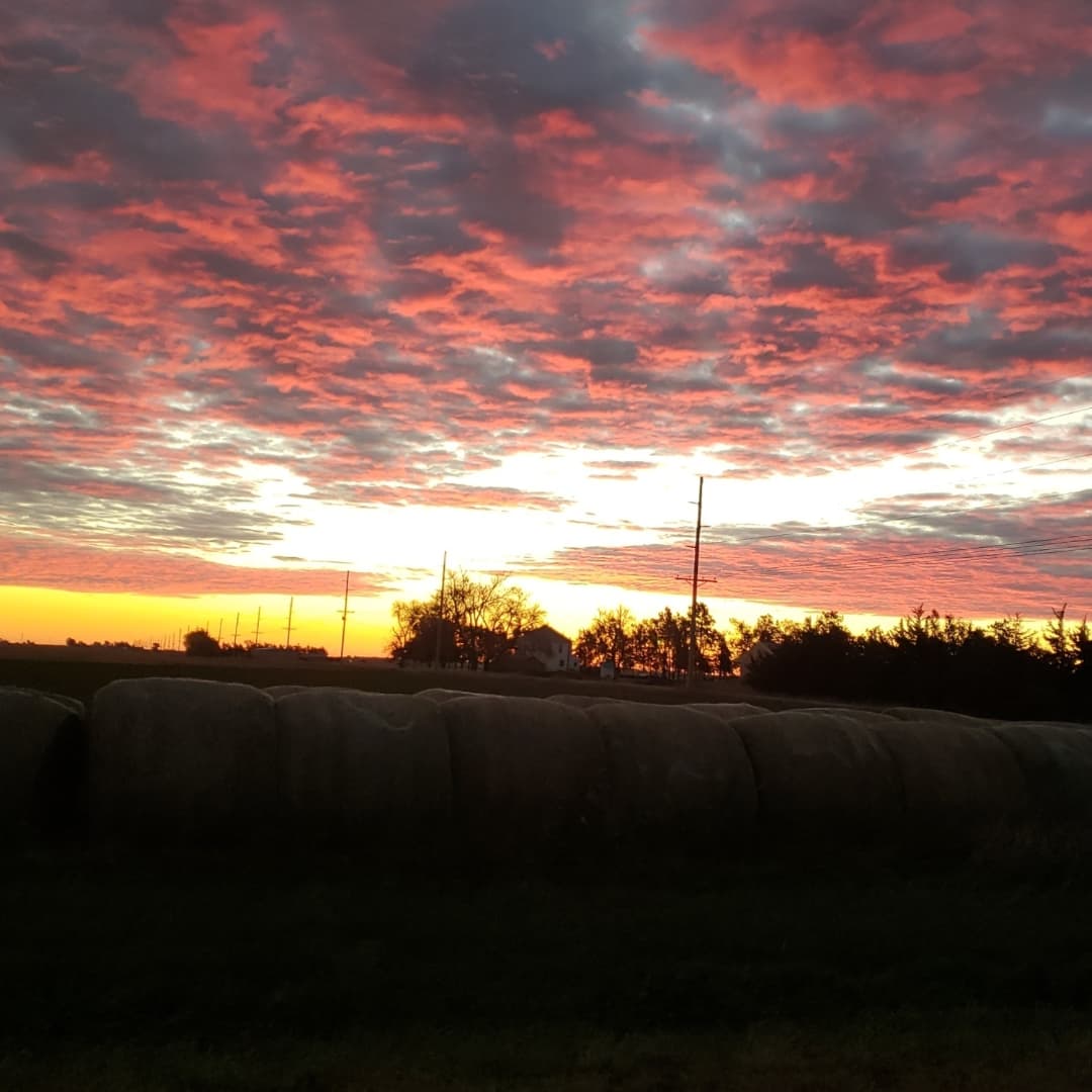 Mallory88897764's tweet photo. Morning runs 🏃♀️ that make you stop in your tracks. So beautiful❤ #GodsCountry #NebraskaItsNotForEveryone https://t.co/SNTSx6qoaR