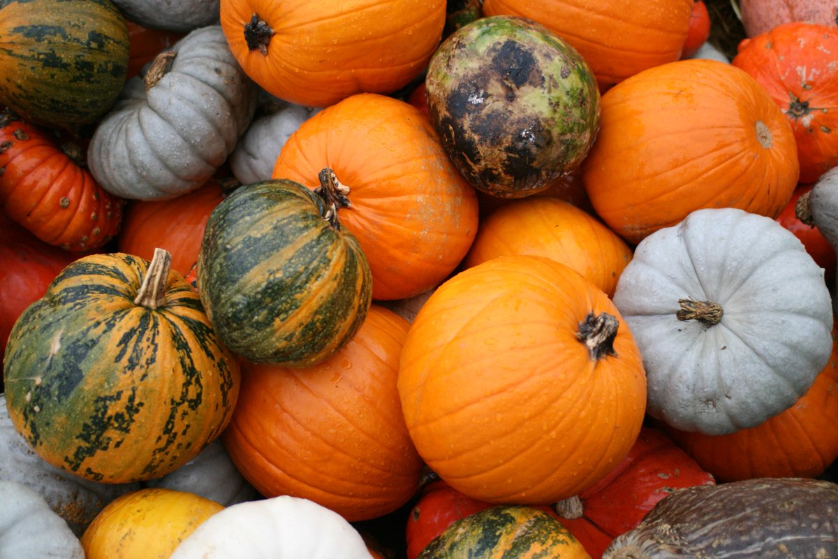 MoodofLiving's tweet photo. The spookiest Sunday of the year! #HappyHalloween 🎃 https://t.co/DaYAFOd9nx