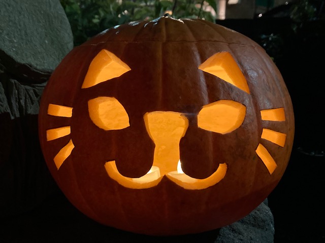 BeesGrenoGreen's tweet photo. A very beautiful #halloween2021 #pumpkin #cat - this was a very popular one with the kids who visited the #Green last night. https://t.co/wVX4YRsusU
