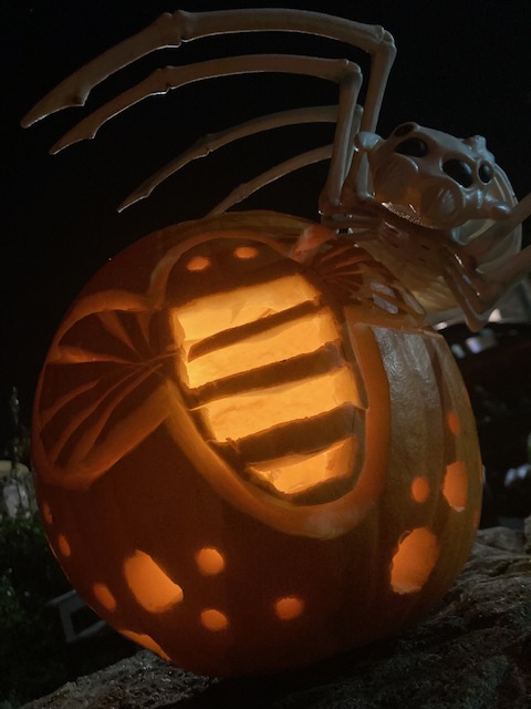BeesGrenoGreen's tweet photo. #Bee carved #pumpkin on #Grenoside Green #sheffield #Sheffieldissuper  🎃🐝 https://t.co/ZHfqKIOb2e