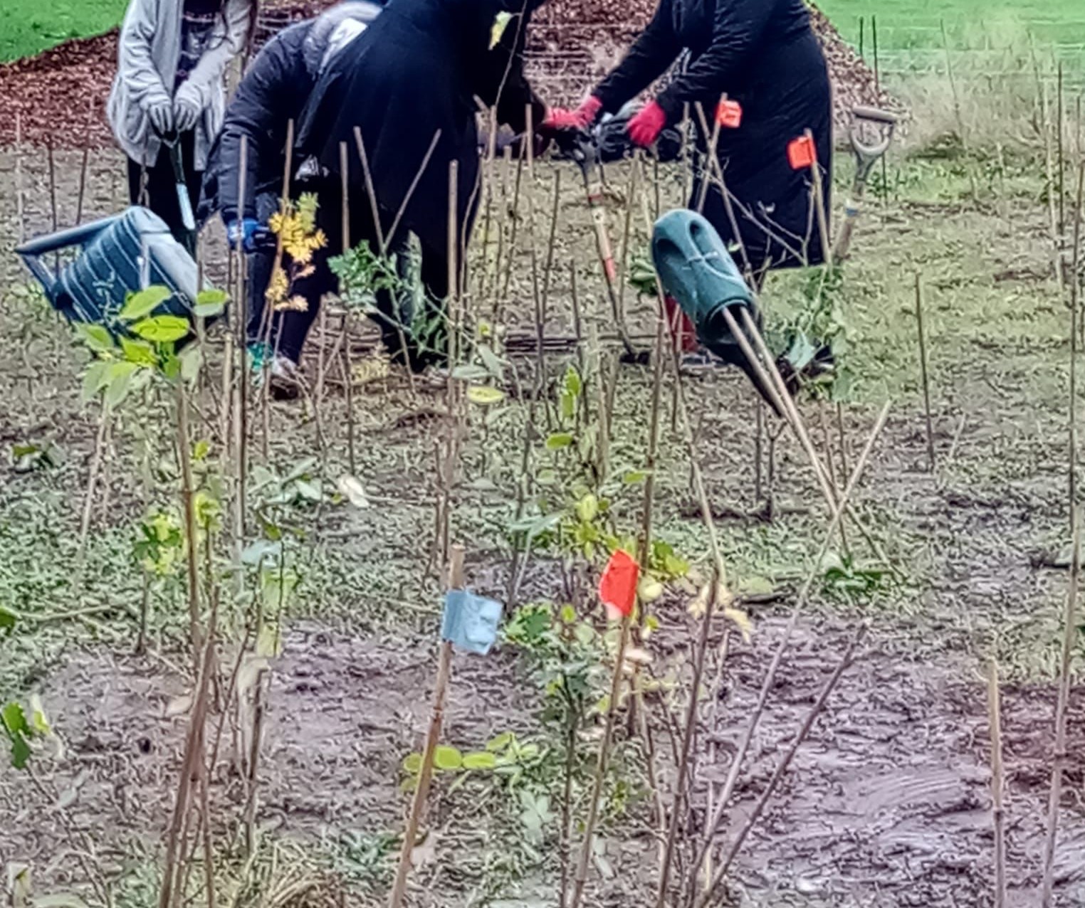 Lajna Ima'illah UK on Twitter: ".@LajnaUK has pledged to plant 100,000 trees across the UK to commemorate #100Years of our worldwide empowered Muslim women's organisation. Marking this, Lajna from Nottingham planted 225