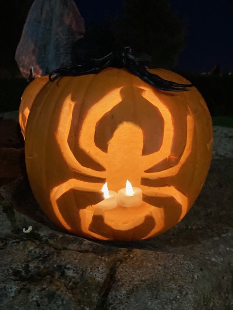 BeesGrenoGreen's tweet photo. A selection of #pumpkins we put on display on #Grenoside #Green last night. Which one do you like? #Sheffield #Sheffieldissuper #halloween2021 https://t.co/5jd0VxgAZ3