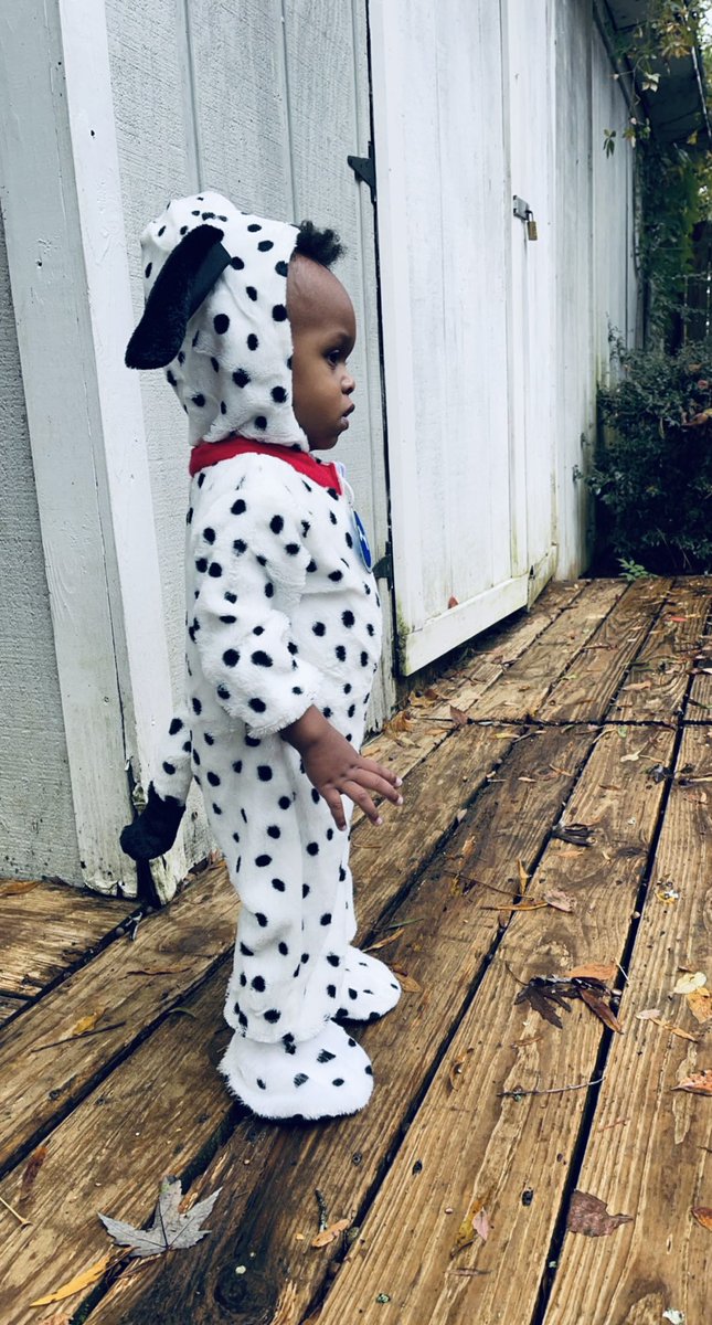 JaleesaHarris_'s tweet photo. My P O N G O 🐾🖤🤍 #HappyHalloween2021 #101dalmatians https://t.co/z5sgLve96I