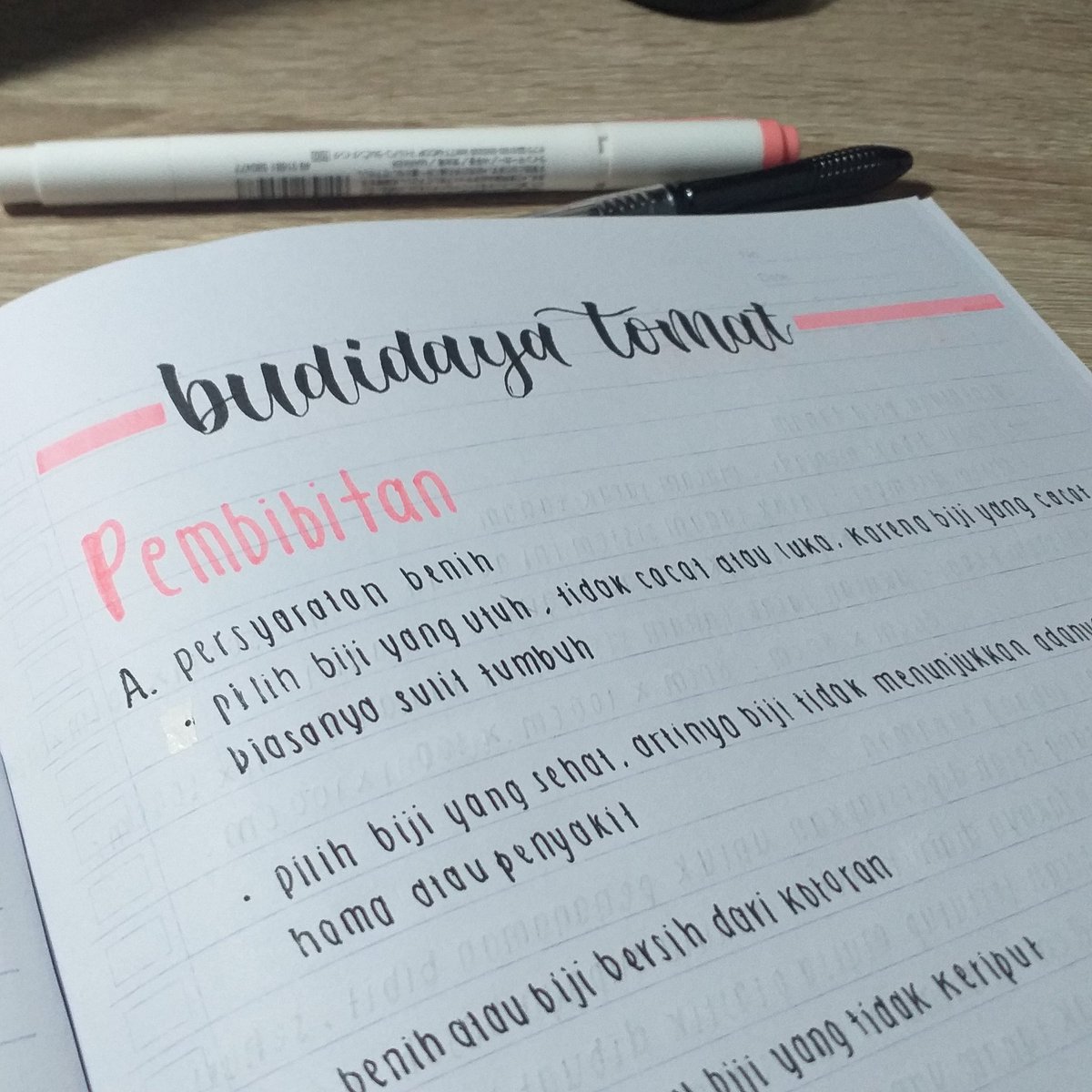 sun2study's tweet image. 31.10.2021 ✧ it's been a long time not updating sum progress!!!!!! rest well everyone