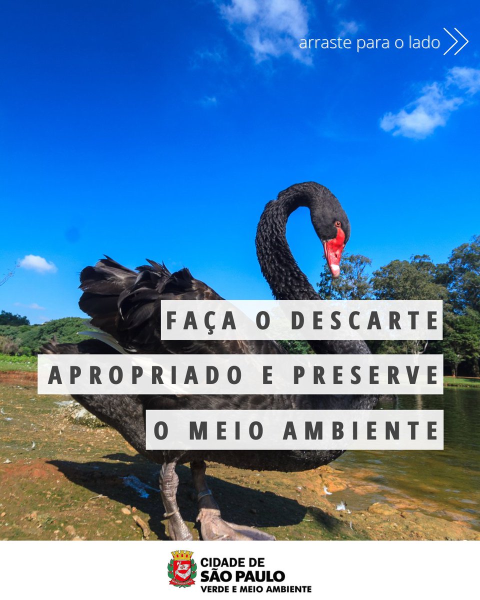 svmasp's tweet photo. Participe da campanha: Corte o elástico antes de jogar a máscara no lixo!
#salveomeioambiente #descartecorreto #descarteconsciente #descartecomresponsabilidade #usemascara #mascarasdeprotecao
#meioambiente #natureza #svma https://t.co/HZTH7h3f69