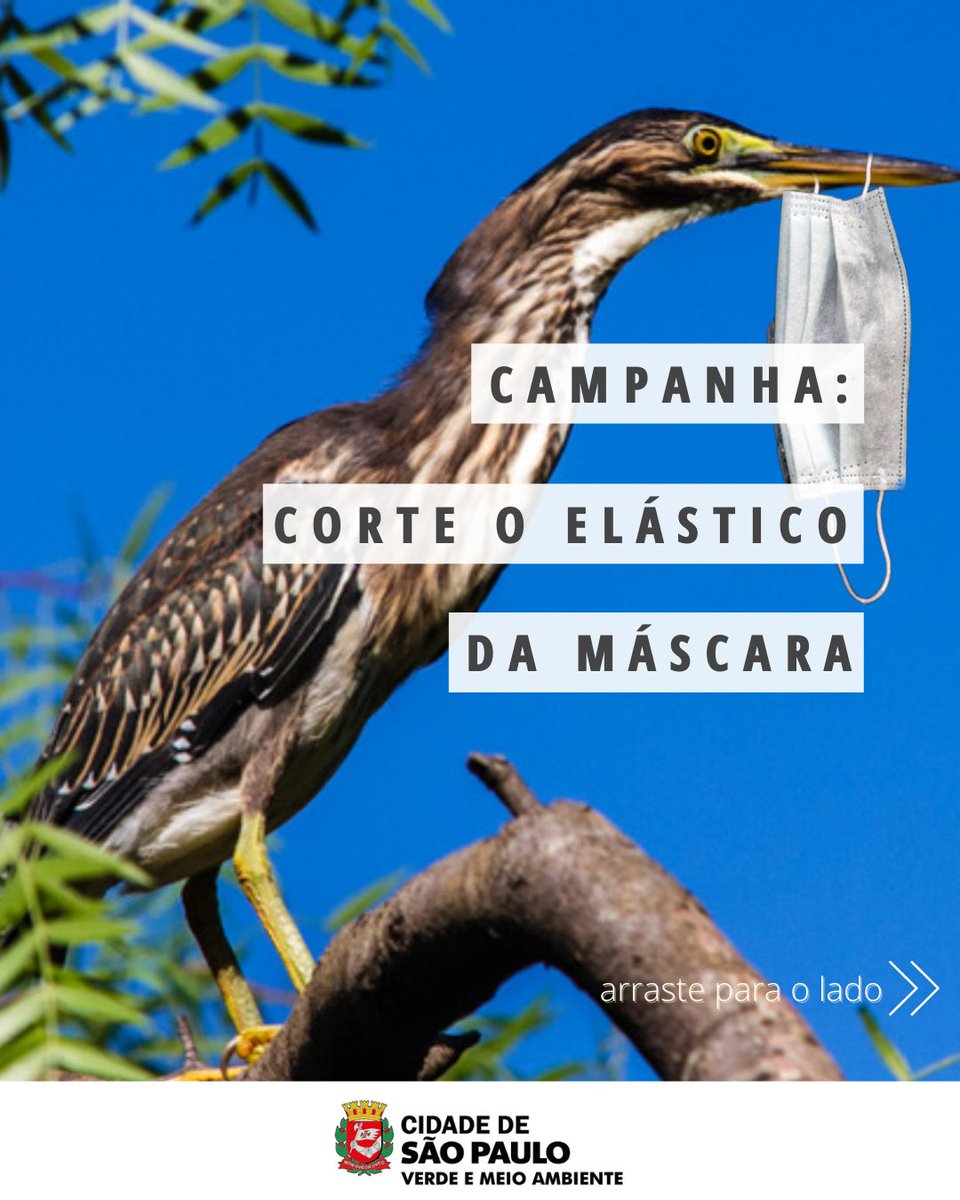 svmasp's tweet photo. Participe da campanha: Corte o elástico antes de jogar a máscara no lixo!
#salveomeioambiente #descartecorreto #descarteconsciente #descartecomresponsabilidade #usemascara #mascarasdeprotecao
#meioambiente #natureza #svma https://t.co/HZTH7h3f69