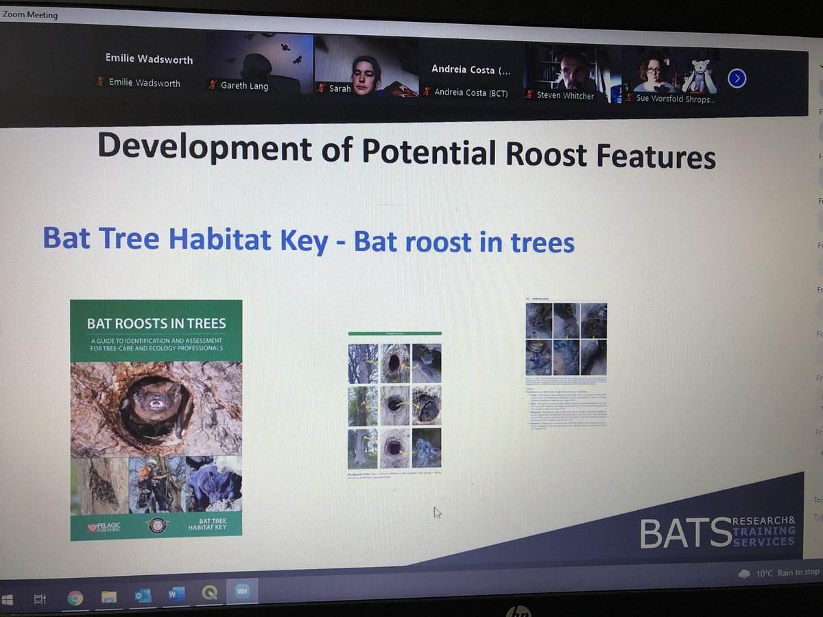 Knowing trees is as important as knowing bats #NatBatConf