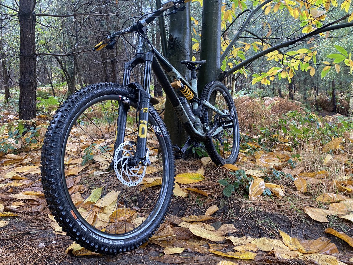 Embracing awesome autumn.