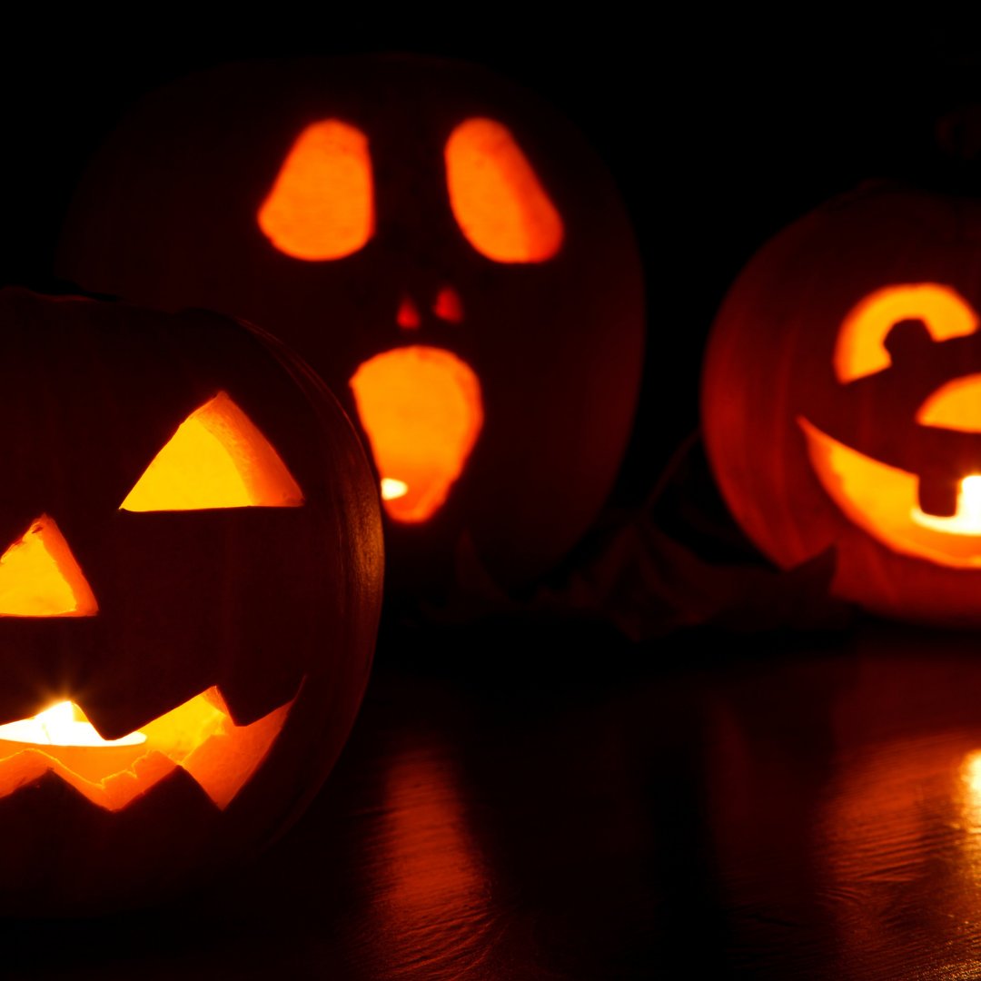 Happy Halloween! 👻🎃 We hope you have a spooky, treat-filled, fantastic holiday!

#HappyHalloween #SpookySeason