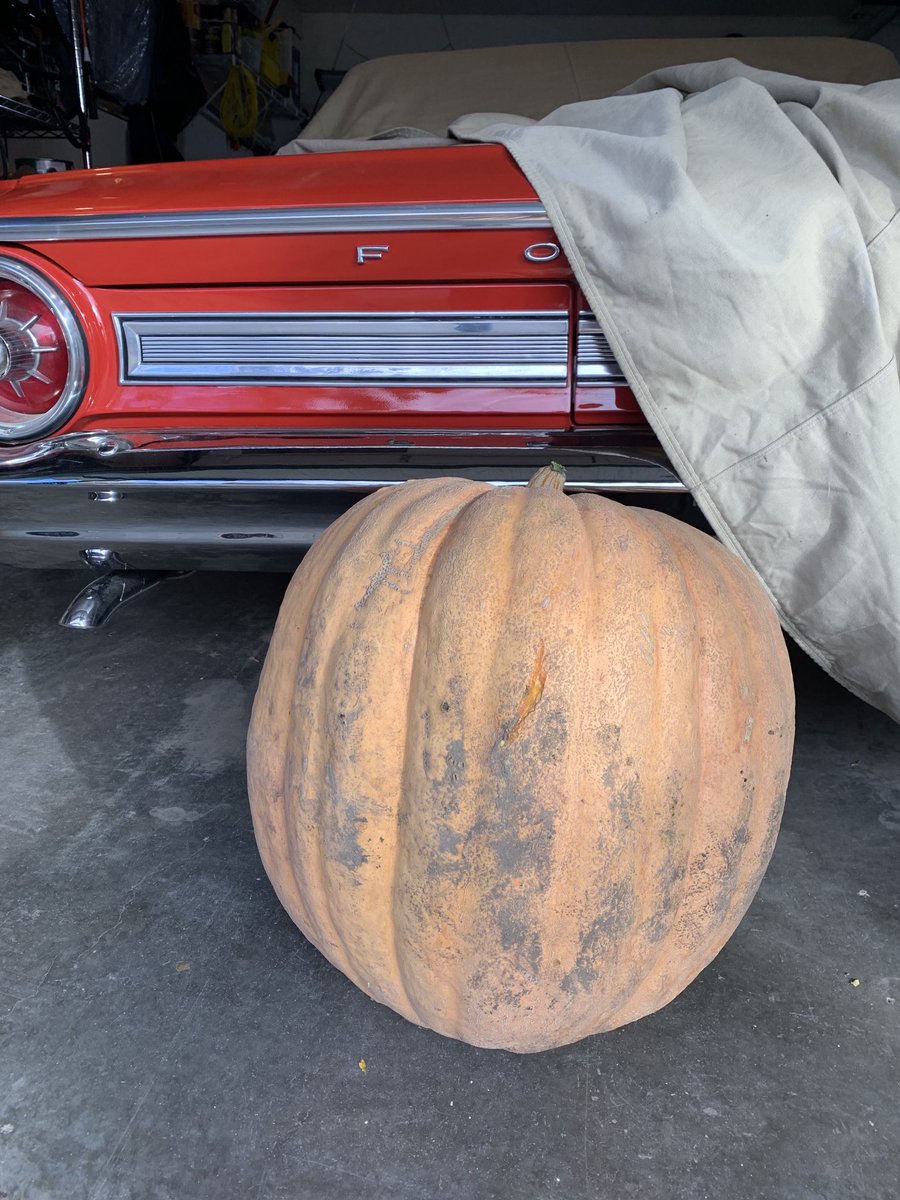 saskgranddad's tweet photo. Happy Halloween everyone. https://t.co/uU06VK91kT