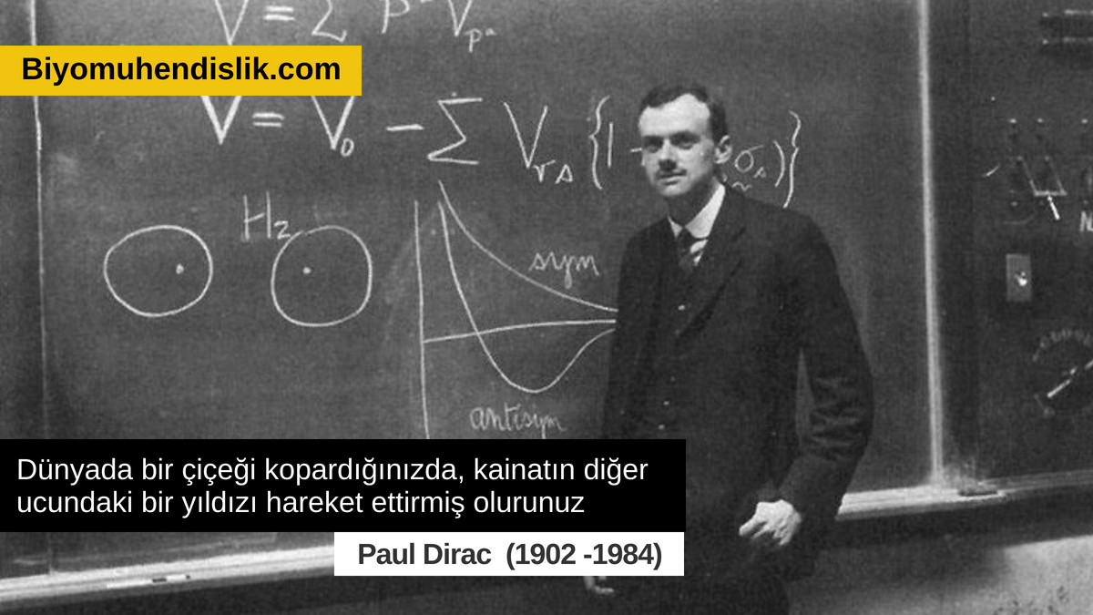 Dünyada bir çiçeği kopardığınızda, kainatın diğer ucundaki bir yıldızı hareket ettirmiş olursunuz

Paul Dirac (1902 -1984)

#Bilim #Sözler #quotes