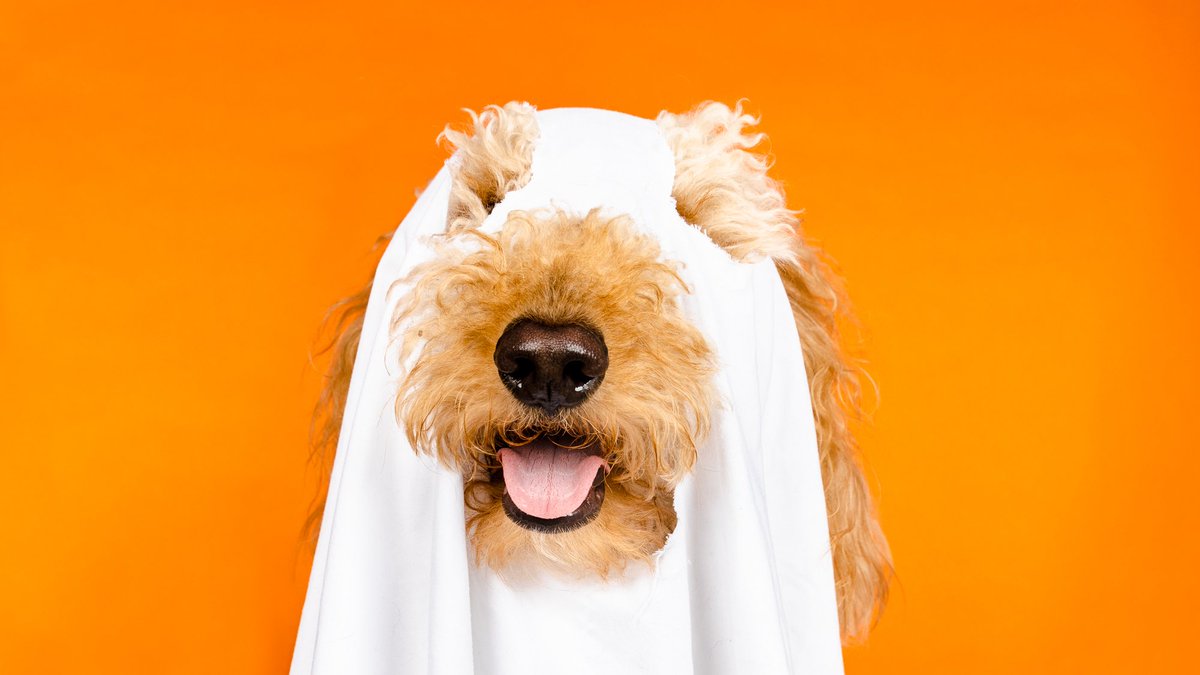 Drake Cooper tweet media