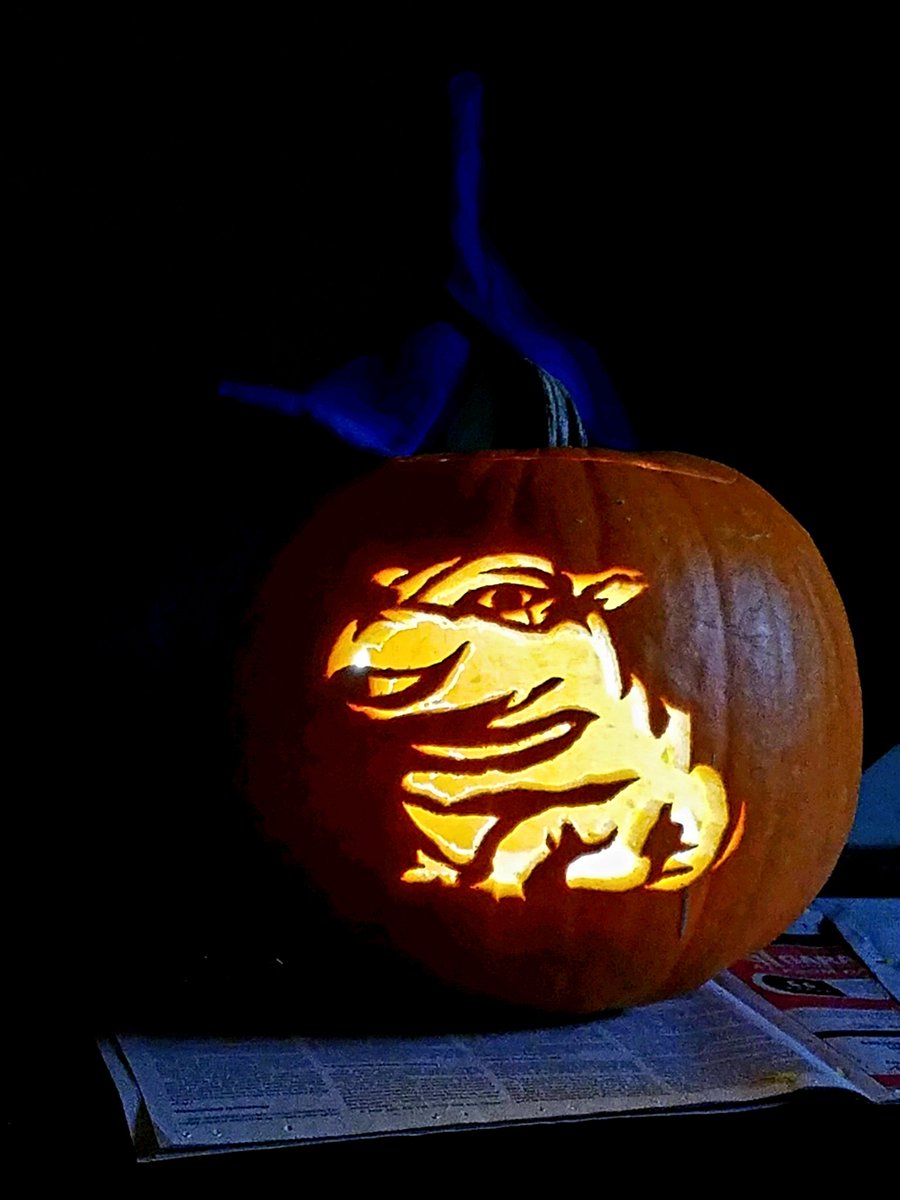 TheresaLucas3's tweet photo. My husband carved the perfect pumpkin! π€ #feelinghip #TeamFiona @CincinnatiZoo https://t.co/E3s3LG6cz8