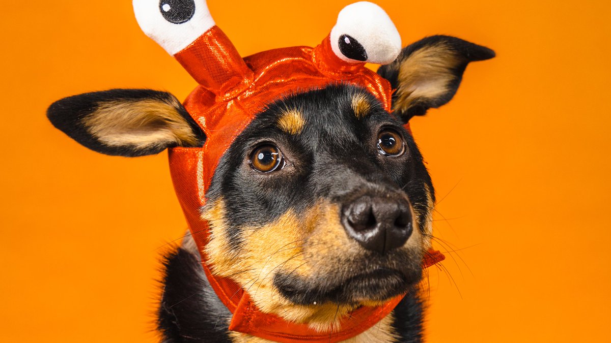 Drake Cooper tweet media