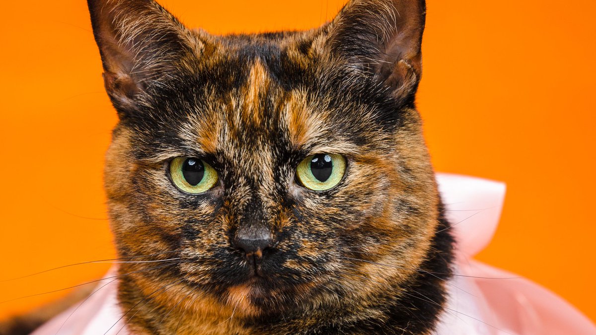 Drake Cooper tweet media