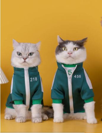 CatFoodBreath's tweet photo. Simon and Garfunkel's humans spent $39.95 on costumes and $375 on a visit to the Immediate Care Center. #halloween2021 #HappyHalloween2021 #SquidGame #BandAids #NotFestive https://t.co/vQ0QrVLCGM