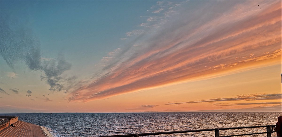 Kate-M-Yates tweet media