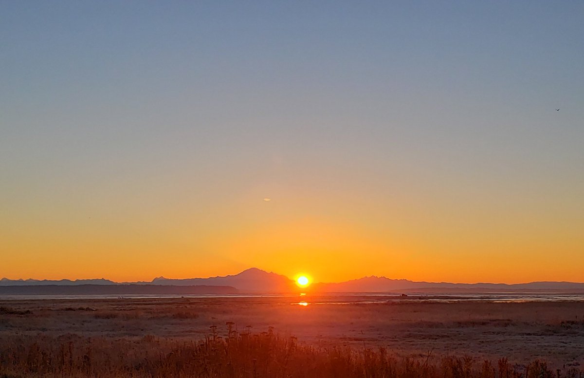 Manitowan's tweet photo. The Great Pumpkin 🎃 thought why not gift the wetlands with a beautiful ORANGE #sunrise on #halloween2021 in @TourismDelta #deltabc this morning! #HappyHalloween2021 ! #nature #wetlands @kathcupe #coloursoffall #naturelovers @miawgordon @weathernetwork https://t.co/R7baRYnStk