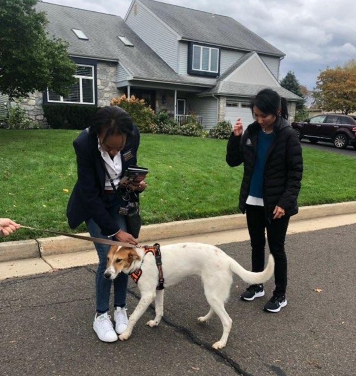 Tiffany4Judge's tweet photo. So much fun yesterday knocking doors with the incredible @PattyHKim 

Thanks for coming to #BucksCounty and supporting #TeamTiffany! 

Sign up to help my campaign and let's make history together! 

https://t.co/3ogAIgTGNI

#Election2021 
#VoteLocal2021 
#GOTV https://t.co/ykVyvBFKiX