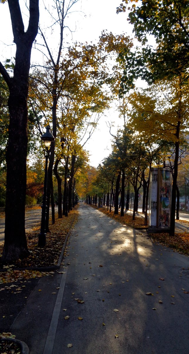 DrEveningstar's tweet photo. Golden October! 
#Autumn #autumnleaves #trees #Sunny #cityphotography #photography https://t.co/4vQ9rxp1Dl