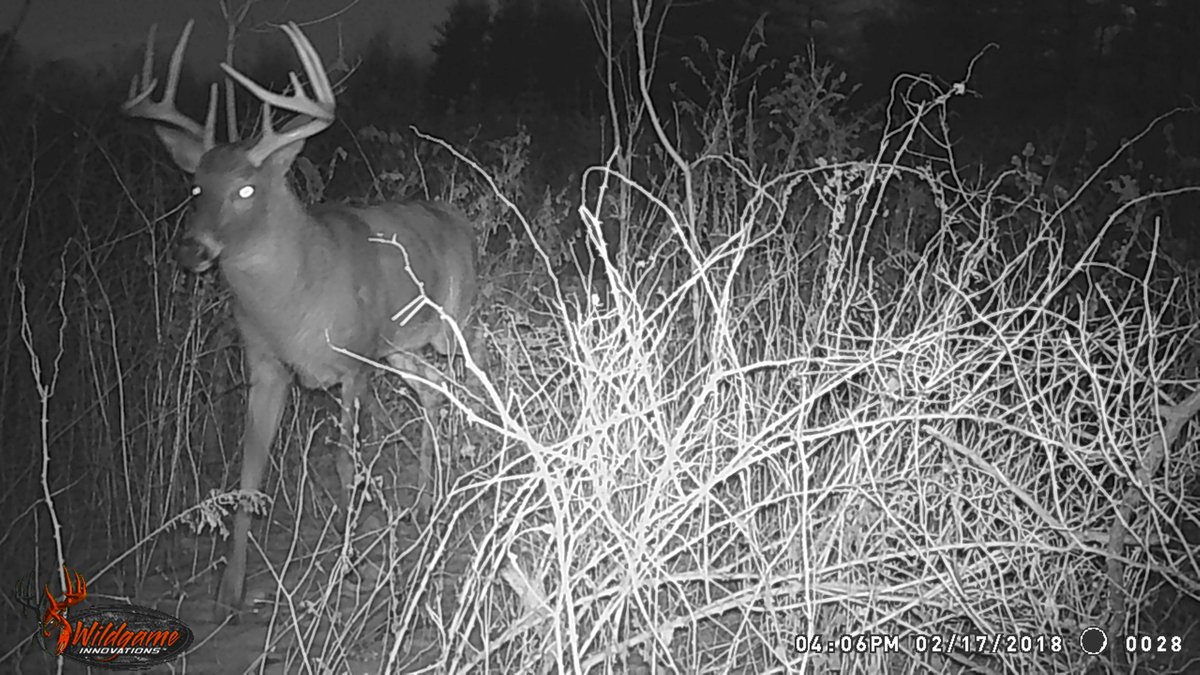 KettleCreekCA's tweet image. Happy Halloween! Check out these spooky visitors to KCCA properties. 😱🎃👻

#happyhalloween