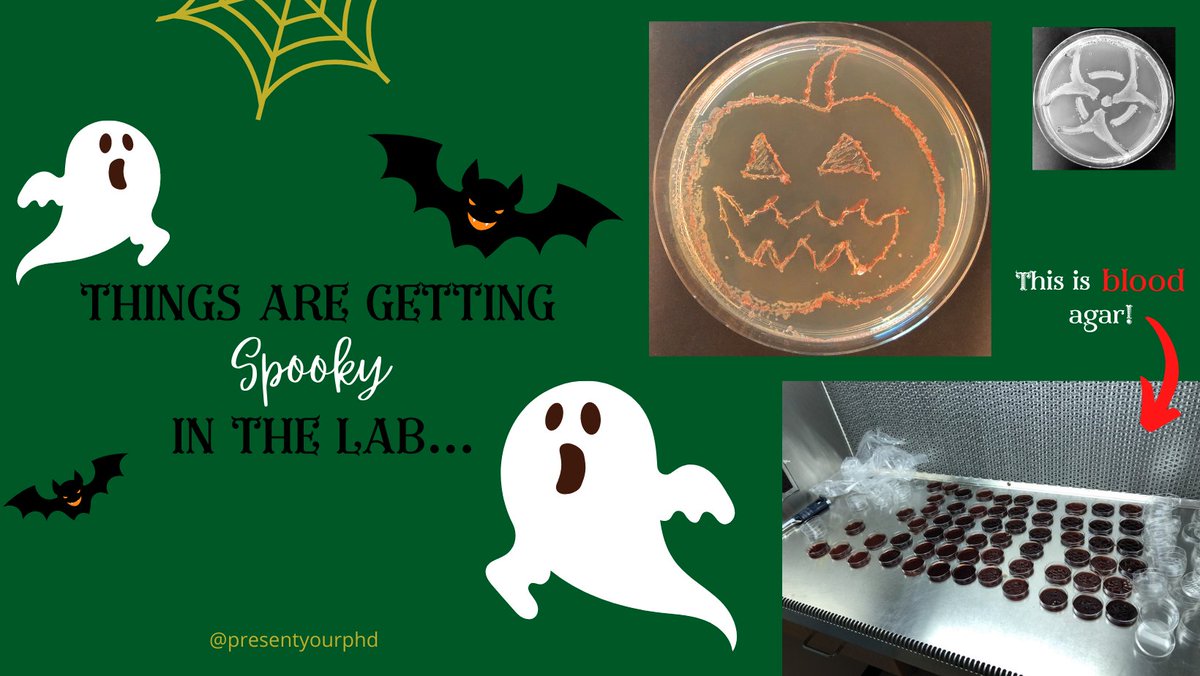 PresentYourPhD's tweet photo. Happy Halloween from Present Your PhD!
#bloodagar #scicomm #scicommunity #presentyourphd #pyphd #spookyseason https://t.co/MyhvqzbKAe