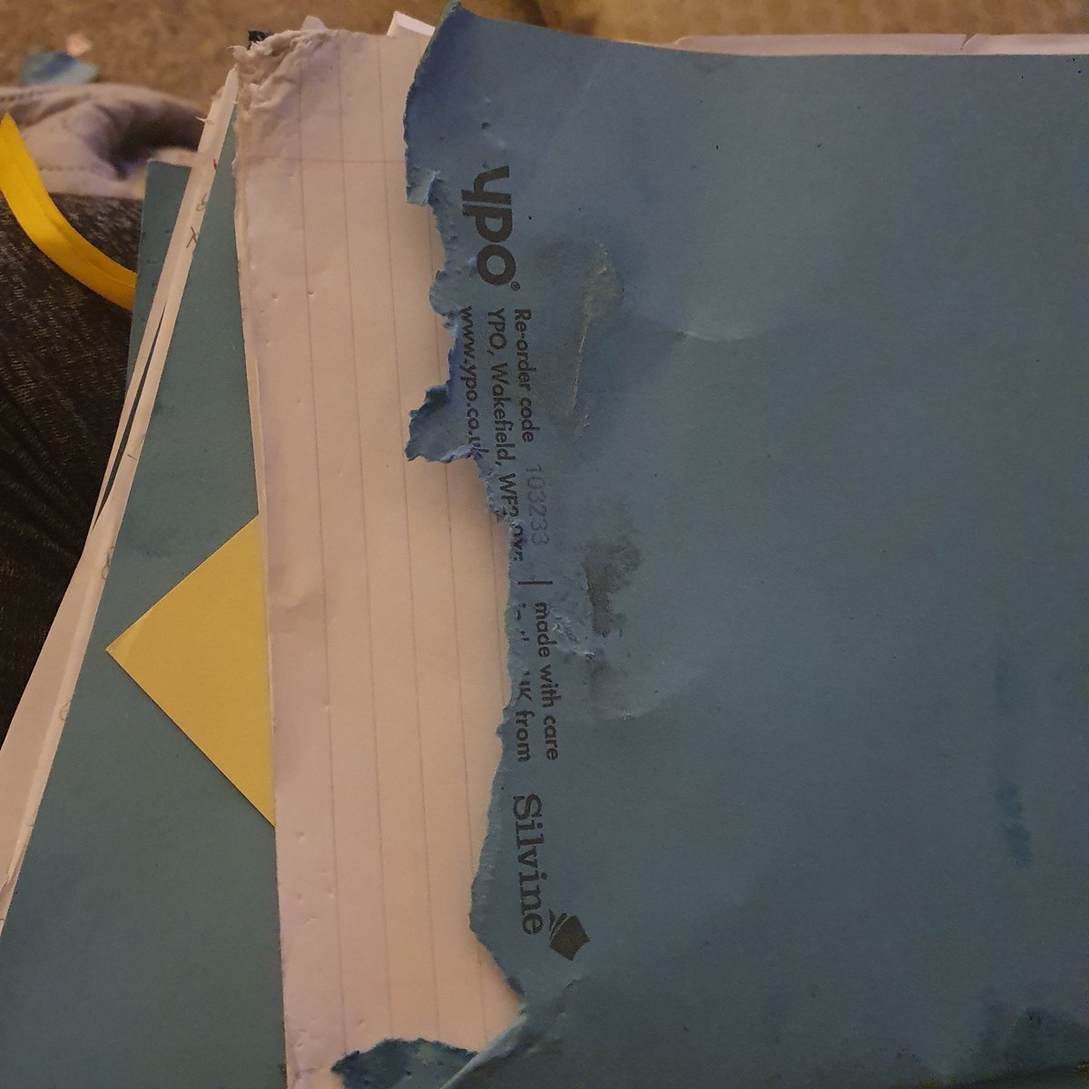 knowles_science's tweet photo. Tomorrow, I have to tell a student that my dog ate their homework 🙈 https://t.co/XThR9iwztC