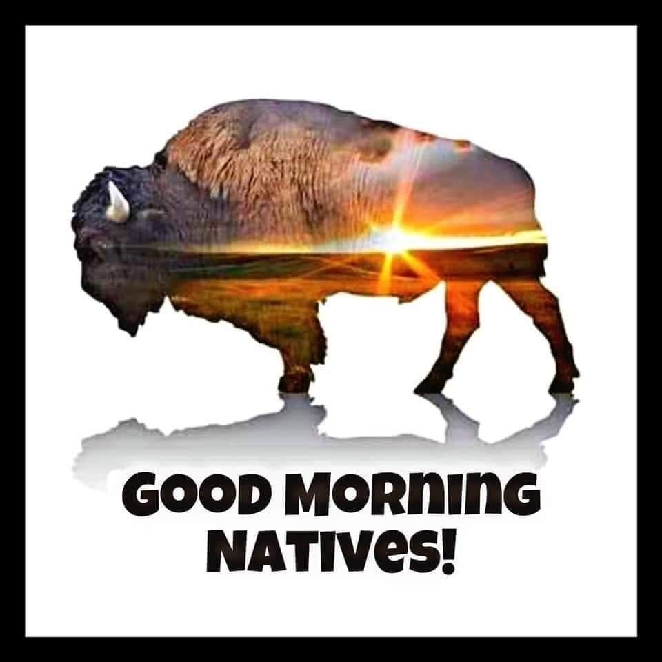 BBA_Show's tweet photo. Don't forget to tune in this evening, 6-8p, CST on https://t.co/2DsLktqYS4 or 89.3 FM in Dallas for Native music plus community info. #SpreadTheWord #NativeRadio #BeSafe #GetVaccinated #KeepTheFaith #BBA_Show https://t.co/joJu0oZMEW