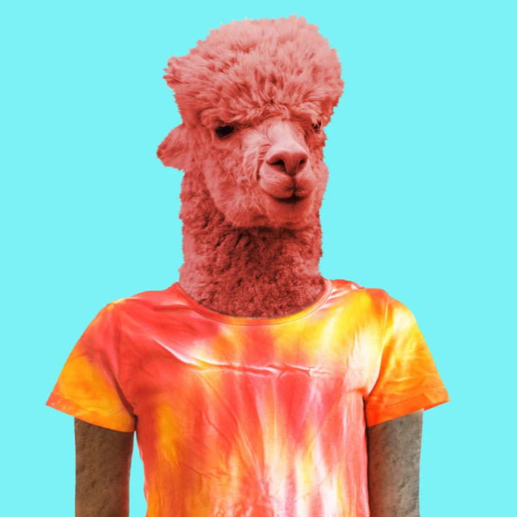 AlpacaByJaca's tweet photo. What did the alpacas go as for their group #Halloween costume?
The zombie alpacalypse...🦙🧟‍♀️🤣
#HappyHalloween from Alpaca by Jaca! https://t.co/ZHmJFr8SAW