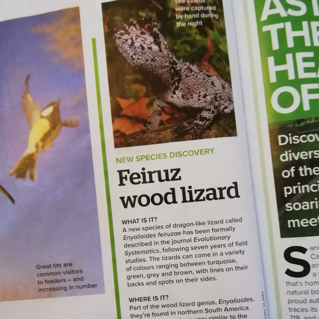 MeganShersby's tweet photo. But I now write the New Species Discovery and Poo Corner 💩 sections (and am LOVING them!!! Having a great time chatting to scientists about both), and our volunteer interview has made a return again which I am THRILLED by (and alongside a little ID guide). 4/x https://t.co/Br2z5RqeAr